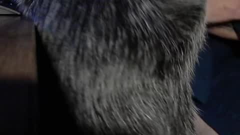 Snapshot of yumguy69 chatting on 09/17/25, 12:40 YumGuy69 online show from 09/17/25, 12:40