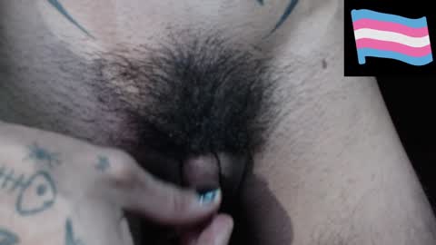 Snapshot of zeldrissss chatting on 12/14/24, 11:12 Zeldris online show from 12/14/24, 11:12