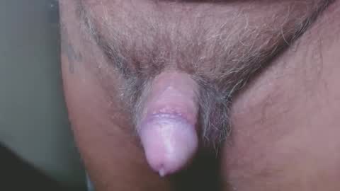 Snapshot of zerozero5555 chatting on 12/06/24, 11:47 bambi cumslut online show from 12/06/24, 11:47