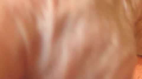 zevioo77 online show from 11/18/25, 11:58