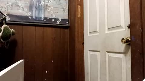 zfdcuvxqqtzh online show from 11/10/25, 03:27