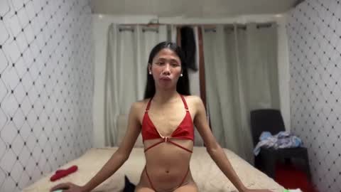 Zinnia nics online show from 11/10/25, 05:17