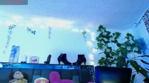 zoemi online show from 01/19/25, 03:18