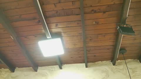 Snapshot of zoley_watson chatting on 10/06/25, 03:04 zoley online show from 10/06/25, 03:04