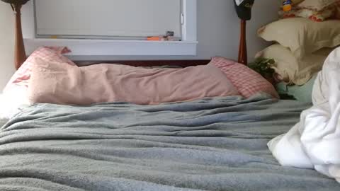 Snapshot of zymase chatting on 12/07/24, 02:09 zymase online show from 12/07/24, 02:09