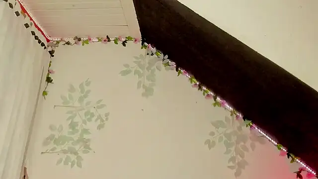 Snapshot of Cata_green chatting on 01/25/25, 12:27 Cata green online show from 01/25/25, 12:27