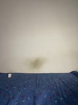 Snapshot of BandySL chatting on 12/13/24, 02:54 BandySL online show from 12/13/24, 02:54