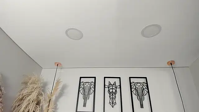 Rebeca jones online show from 10/16/25, 12:28