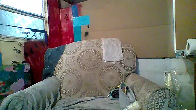 Snapshot of spundarella420 chatting on 03/10/25, 01:21 spundarella420 online show from 03/10/25, 01:21