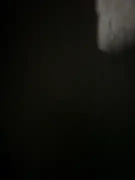 Yurt000 online show from 01/29/25, 07:11