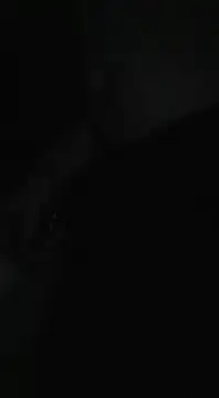 Bi curious86 online show from 11/13/25, 04:44