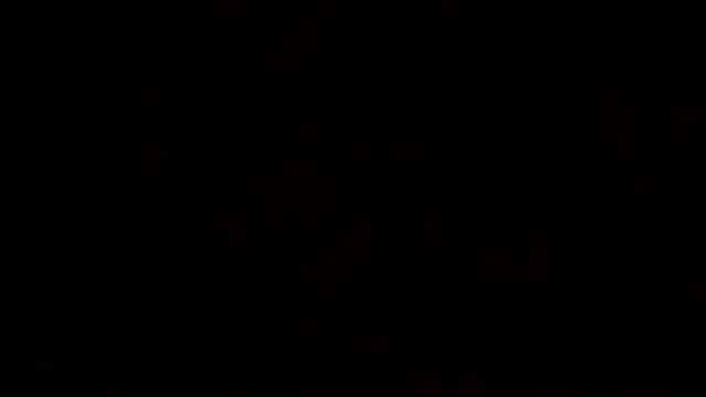 littleone01234 online show from 09/26/25, 10:14