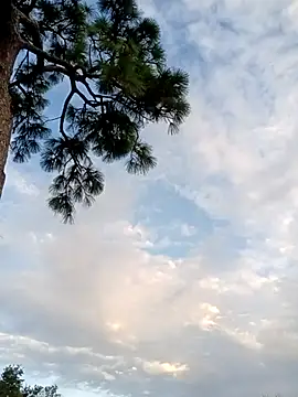 Snapshot of Hotbodyscottie chatting on 10/05/25, 11:41 Hotbodyscottie online show from 10/05/25, 11:41