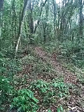 Snapshot of OFICINA_Simas-Turbo chatting on 09/20/25, 07:37 OFICINA Simas-Turbo online show from 09/20/25, 07:37