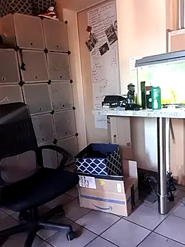 Hippiep online show from 03/02/25, 01:38