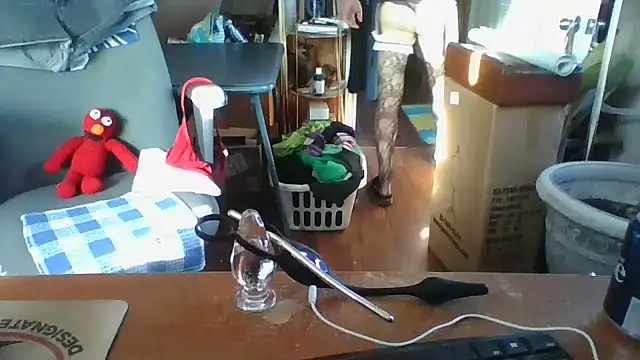 Daremeknot online show from 12/14/24, 07:14