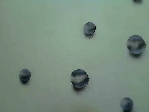 Jillian Pattie online show from 01/07/25, 04:59