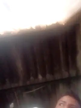 Snapshot of dantero chatting on 01/14/25, 03:36 dantero online show from 01/14/25, 03:36