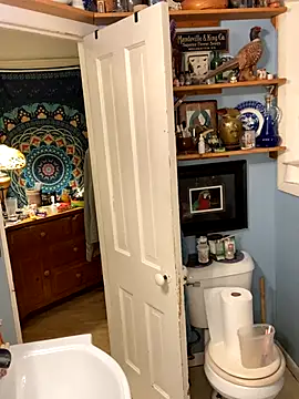 sexyasscougar online show from 10/06/25, 07:39