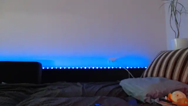 Jinna milli online show from 02/04/25, 10:02