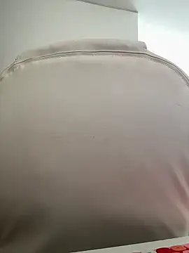 Snapshot of pamell_col chatting on 11/02/25, 01:24 pamell col online show from 11/02/25, 01:24