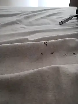 BarbudoSP35 online show from 03/15/25, 01:18