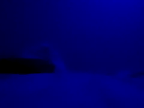 Blkstylion online show from 11/27/25, 08:22