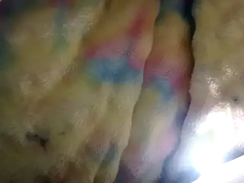 Snapshot of Moreno1813 chatting on 03/15/25, 02:55 Moreno1813 online show from 03/15/25, 02:55