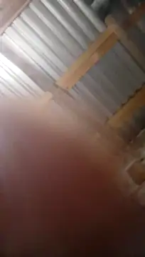 Snapshot of Moreno1813 chatting on 11/05/25, 06:13 Moreno1813 online show from 11/05/25, 06:13