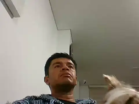 Snapshot of perxxxeo_ chatting on 10/11/25, 01:38 perxxxeo  online show from 10/11/25, 01:38