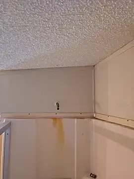 Snapshot of Dixiefaye_Pika chatting on 02/18/25, 06:15 Dixiefaye Pika online show from 02/18/25, 06:15