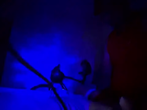 Snapshot of shago38 chatting on 11/24/25, 10:26 shago38 online show from 11/24/25, 10:26