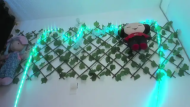 Pucaa  online show from 12/13/24, 01:37