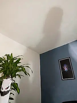 SilvaBranko online show from 11/04/25, 10:09