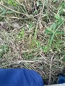 Snapshot of Nkumar173 chatting on 11/08/25, 11:54 Nkumar173 online show from 11/08/25, 11:54