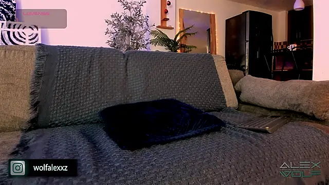 Snapshot of alex_wolf_ chatting on 02/08/25, 02:04 alex wolf online show from 02/08/25, 02:04