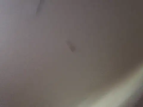 Gin4Cole online show from 09/25/25, 11:52