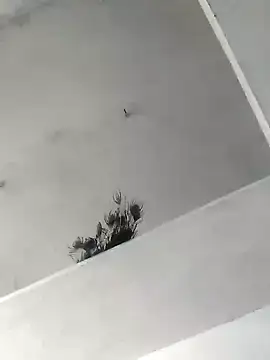 Mafiya1604 online show from 10/22/25, 05:30