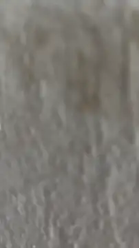 Snapshot of Ishikarana chatting on 10/08/25, 05:05 Ishikarana online show from 10/08/25, 05:05