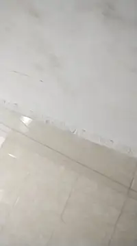 Snapshot of Flaquito_pitudo chatting on 02/25/25, 12:03 Flaquito pitudo online show from 02/25/25, 12:03