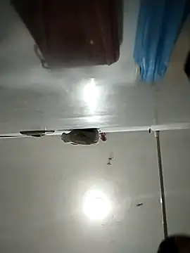 Snapshot of Flaquito_pitudo chatting on 03/01/25, 11:50 Flaquito pitudo online show from 03/01/25, 11:50