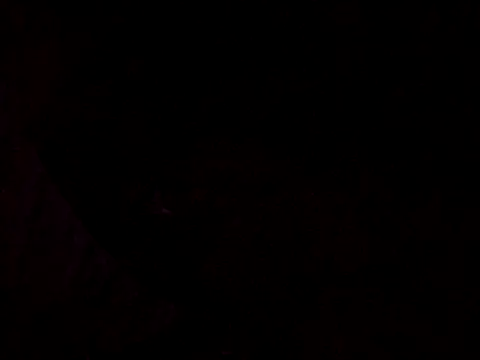 Snapshot of Flaquito_pitudo chatting on 03/12/25, 08:30 Flaquito pitudo online show from 03/12/25, 08:30