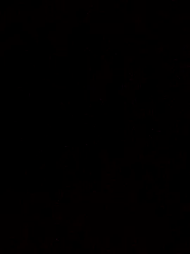 Snapshot of Flaquito_pitudo chatting on 03/18/25, 10:36 Flaquito pitudo online show from 03/18/25, 10:36