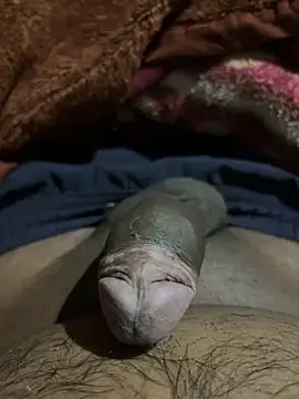 delhiboyz1 online show from 02/16/25, 07:49