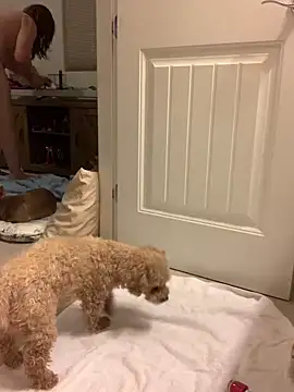 balad13 online show from 01/21/25, 04:32