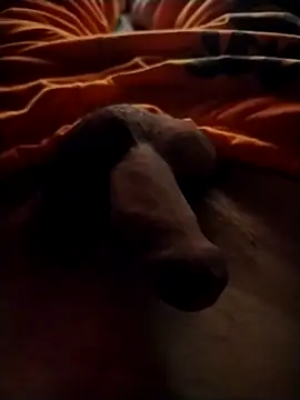 Snapshot of Luiz_097 chatting on 09/13/25, 06:46 Luiz 097 online show from 09/13/25, 06:46