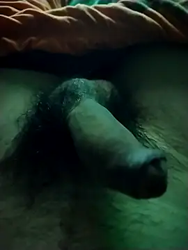 Snapshot of Luiz_097 chatting on 11/15/25, 05:27 Luiz 097 online show from 11/15/25, 05:27