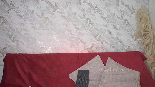 roselinedior online show from 11/23/25, 02:28