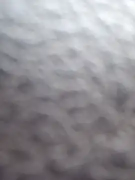 cdressupdiva online show from 02/20/25, 10:26