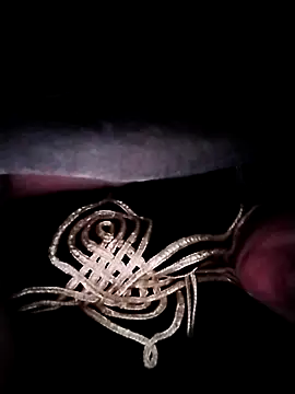 Snapshot of nayakaA7 chatting on 11/21/25, 04:44 nayakaA7 online show from 11/21/25, 04:44